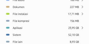 Galaxy S20+ Storage Issue